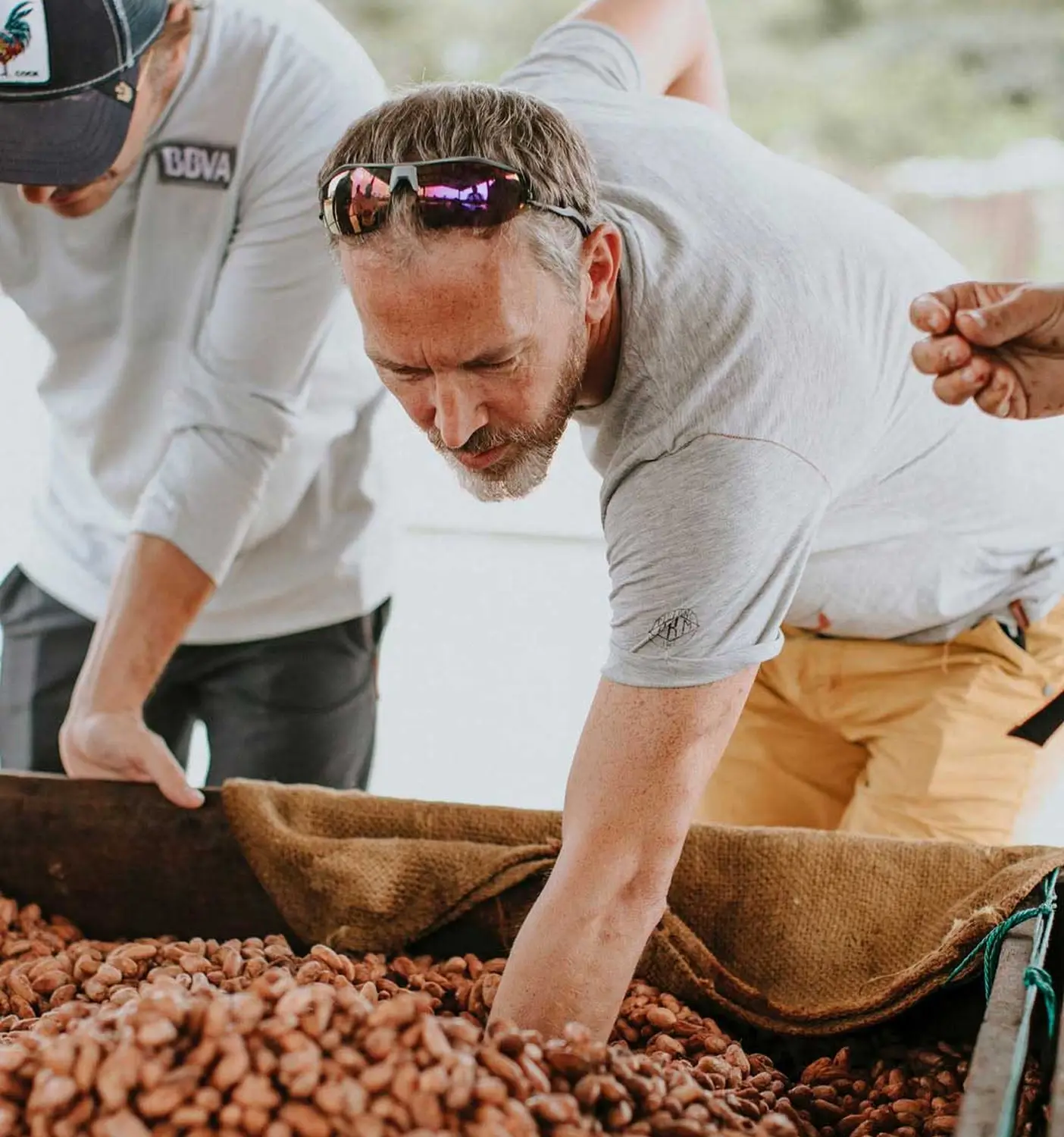 Damian Allsop seleccionant grans de cacau durant el procés d’avaluació de la matèria primera per a xocolata Bean to Bar.